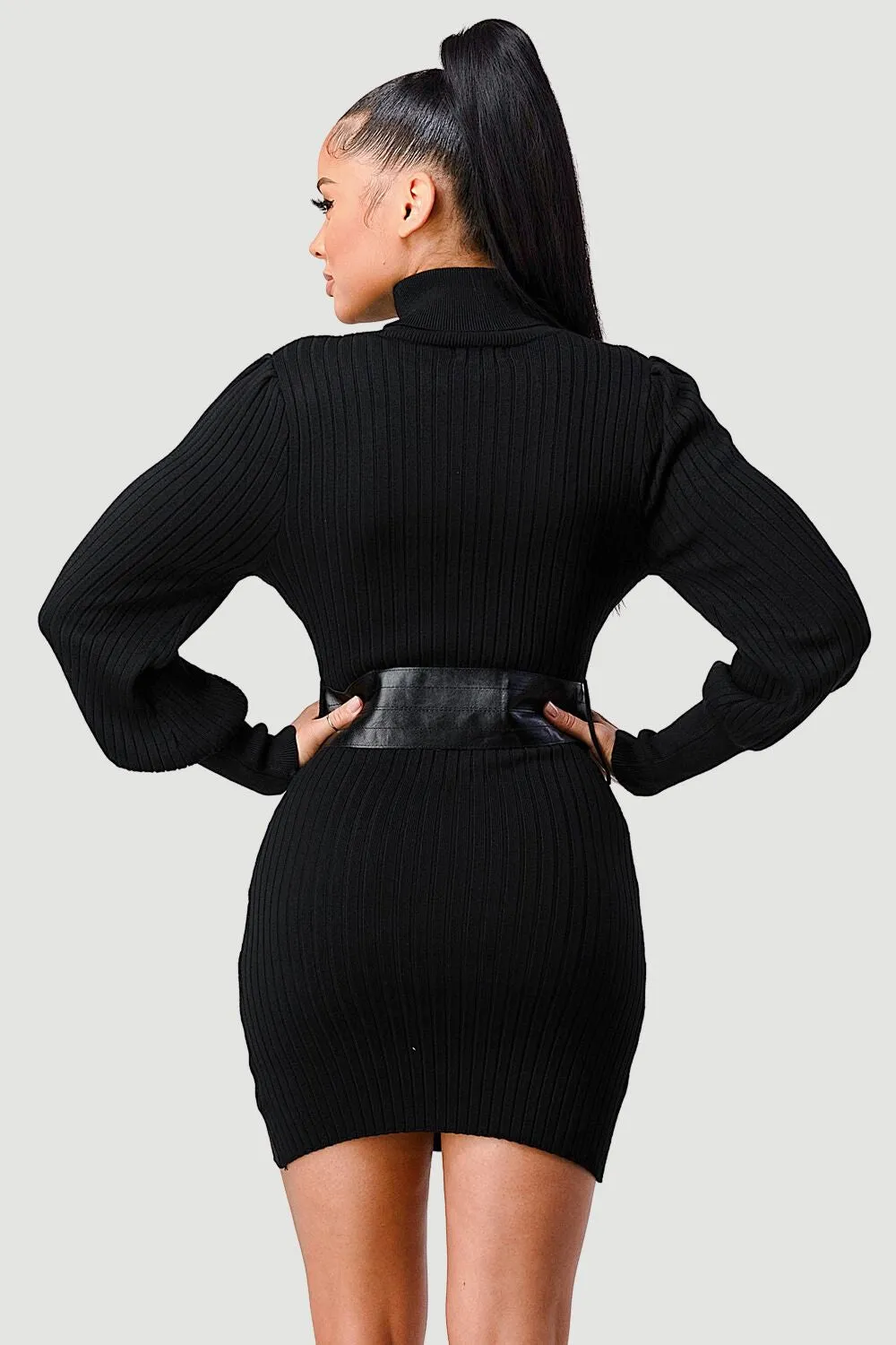 LUXE SWEATER KNIT WAIST PLEATED BELT MINI DRESS