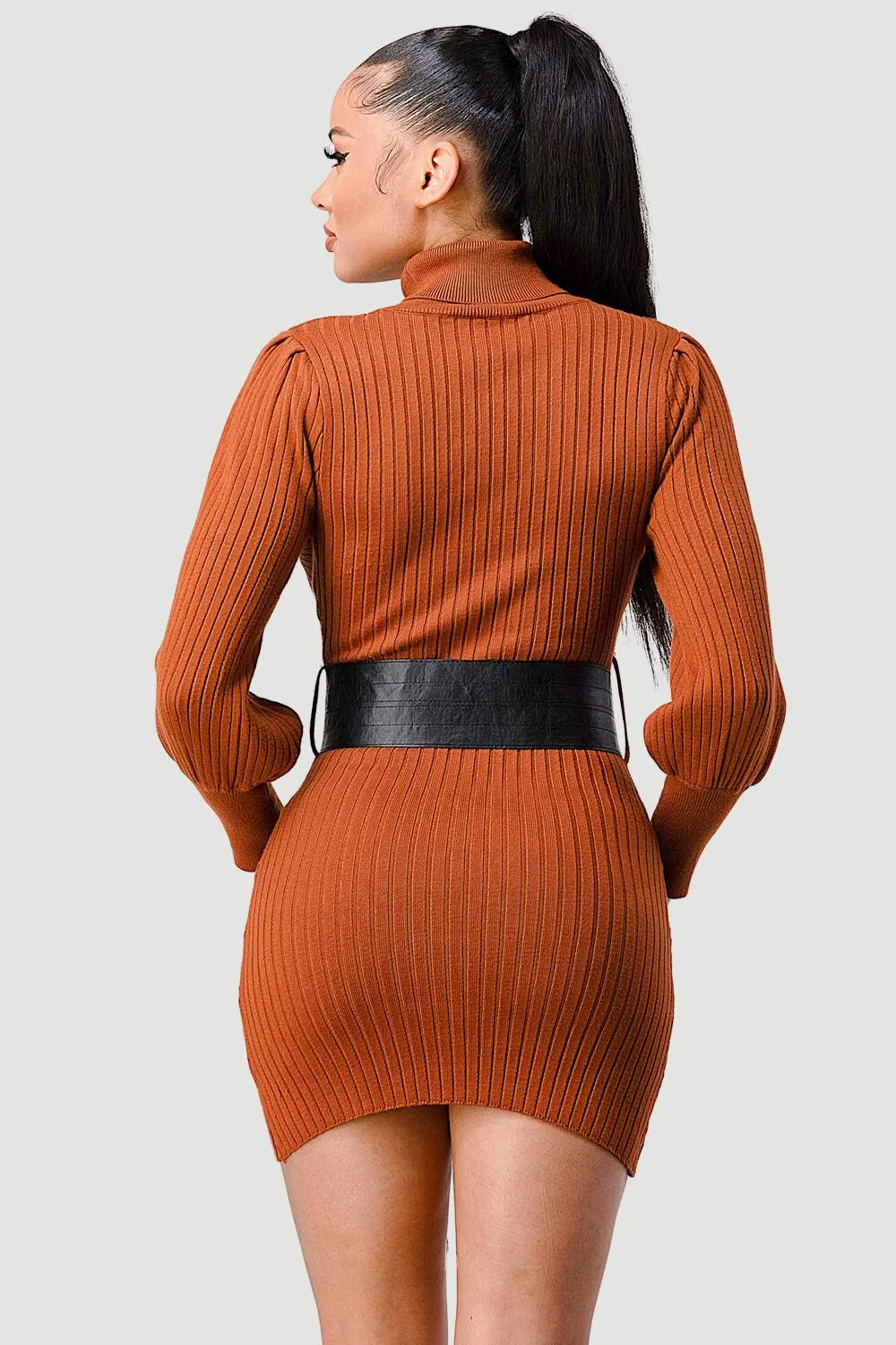 LUXE SWEATER KNIT WAIST PLEATED BELT MINI DRESS